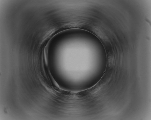 X0000097780254200803071356