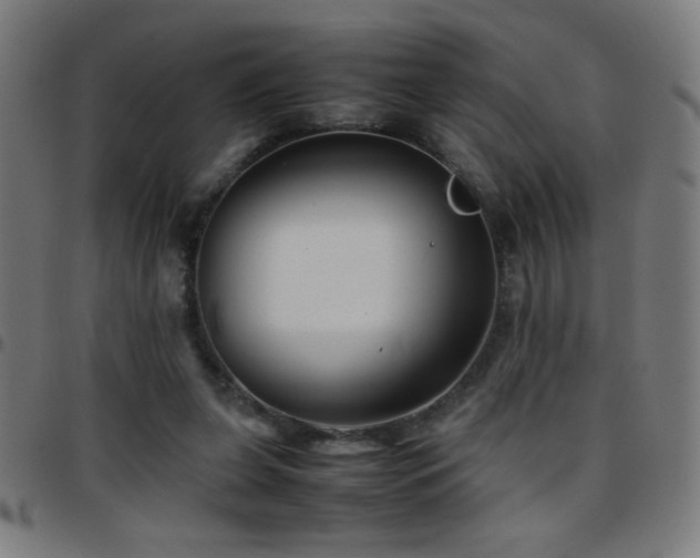 X0000097780255200803071356