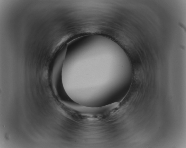 X0000097780256200803071356