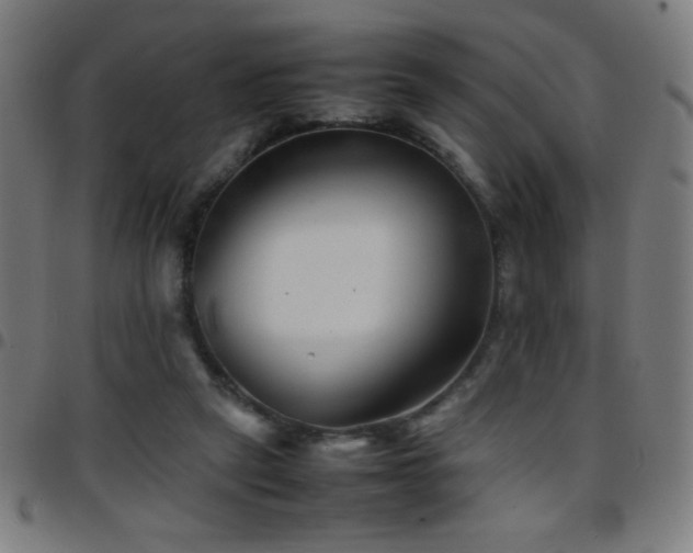 X0000097780257200803071356