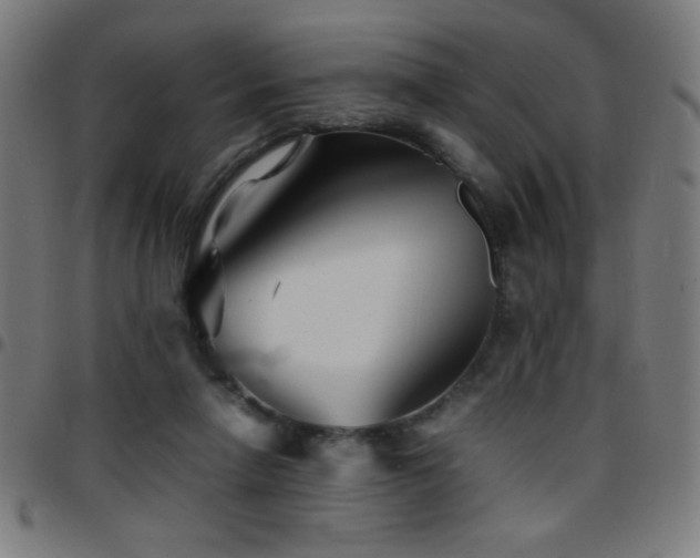 X0000097780258200803071356