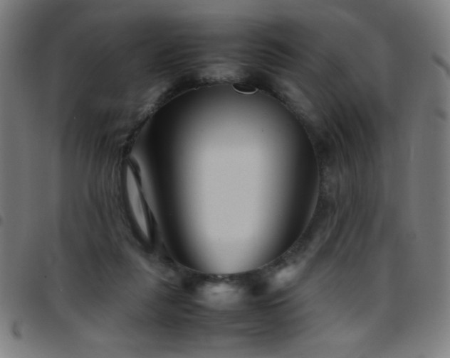 X0000097780259200803071356