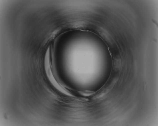X0000097780260200803071356
