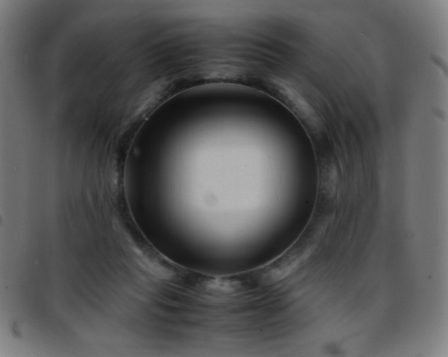 X0000097780261200803071356