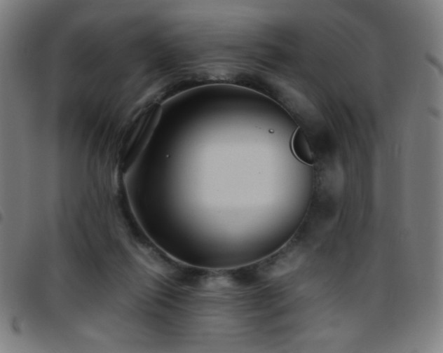 X0000097780262200803071356