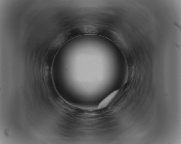 X0000097780263200803071356