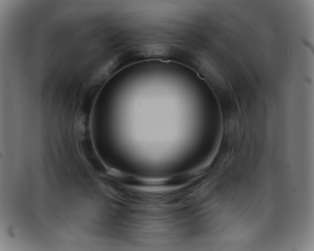 X0000097780264200803071356