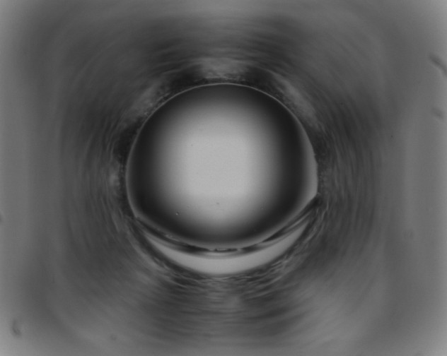 X0000097780265200803071356