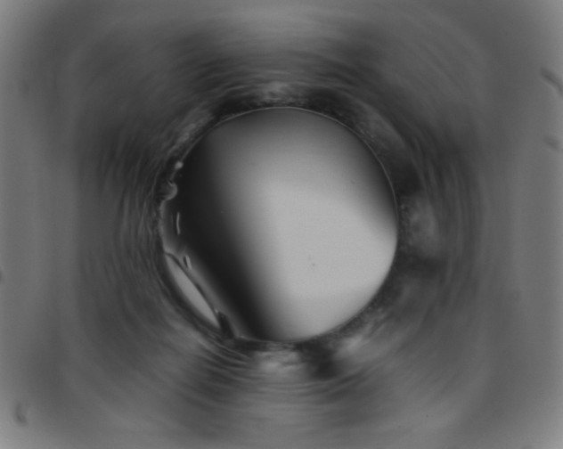 X0000097780266200803071356
