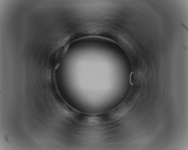 X0000097780268200803071356
