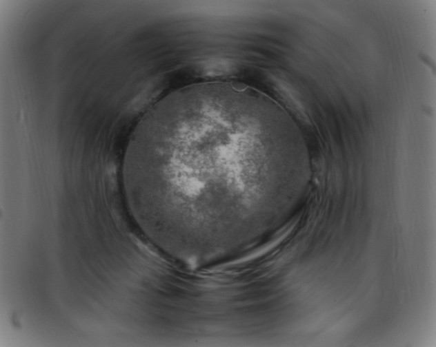 X0000097780269200803071356