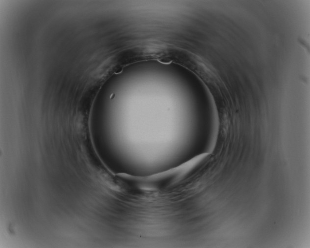 X0000097780270200803071356