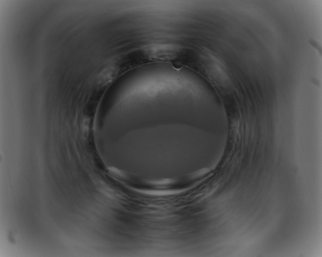 X0000097780271200803071356