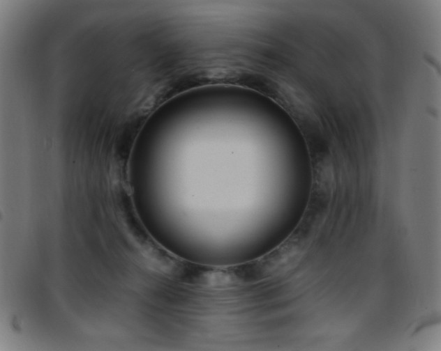 X0000097780272200803071356