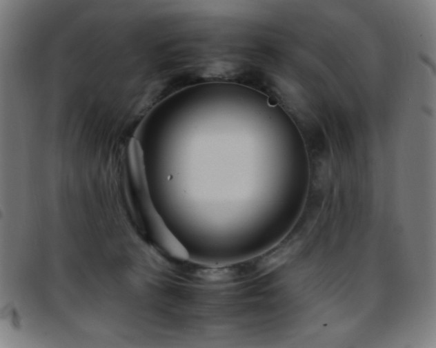 X0000097780273200803071356
