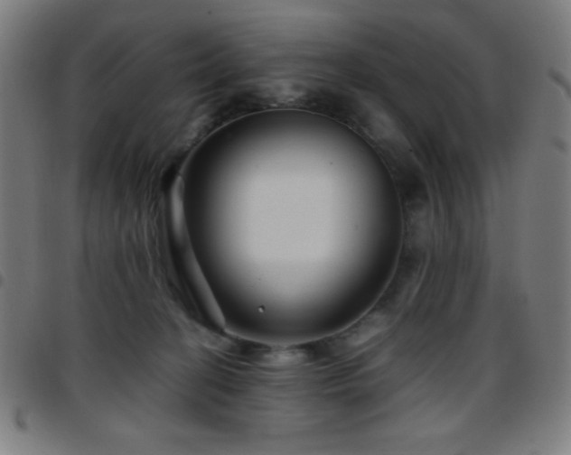 X0000097780274200803071356