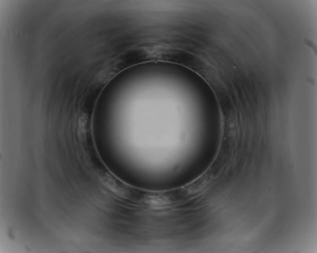 X0000097780275200803071356
