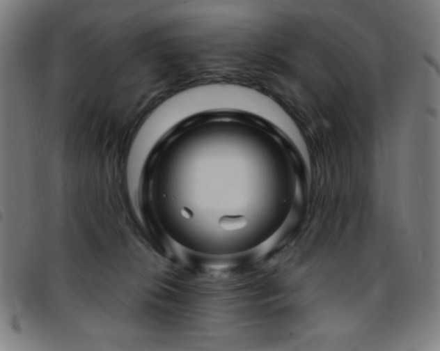 X0000097780276200803071356