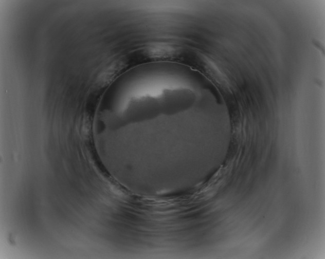 X0000097780277200803071356