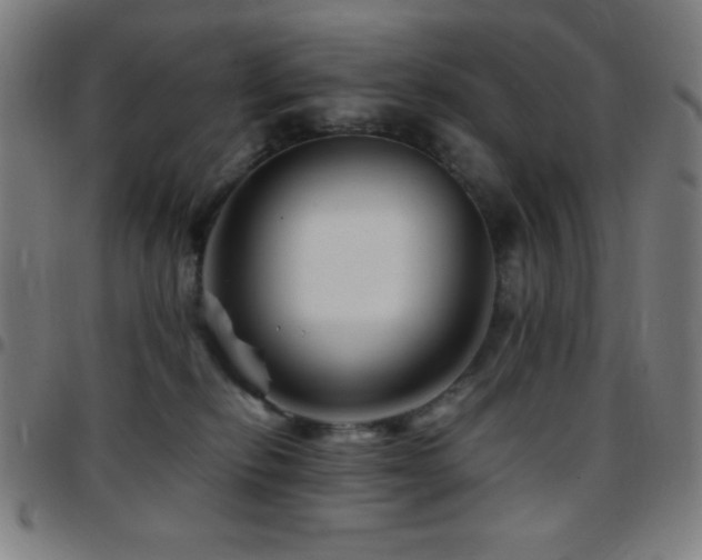 X0000097780278200803071356