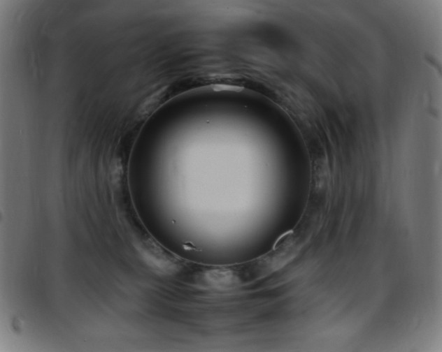 X0000097780279200803071356