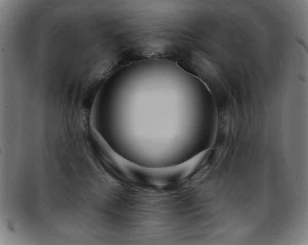X0000097780280200803071356