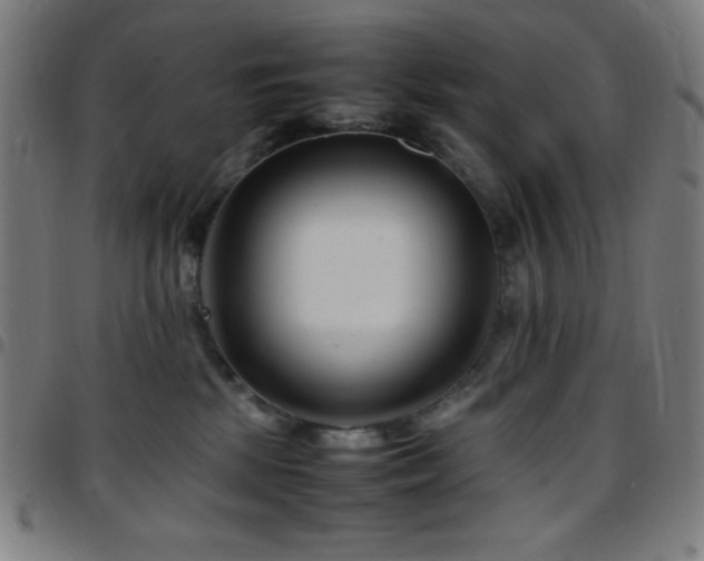 X0000097780281200803071356