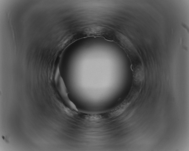 X0000097780282200803071356
