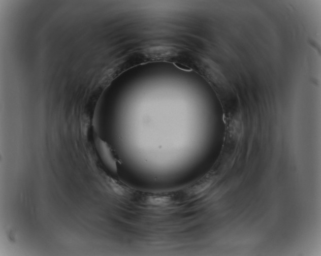 X0000097780283200803071356