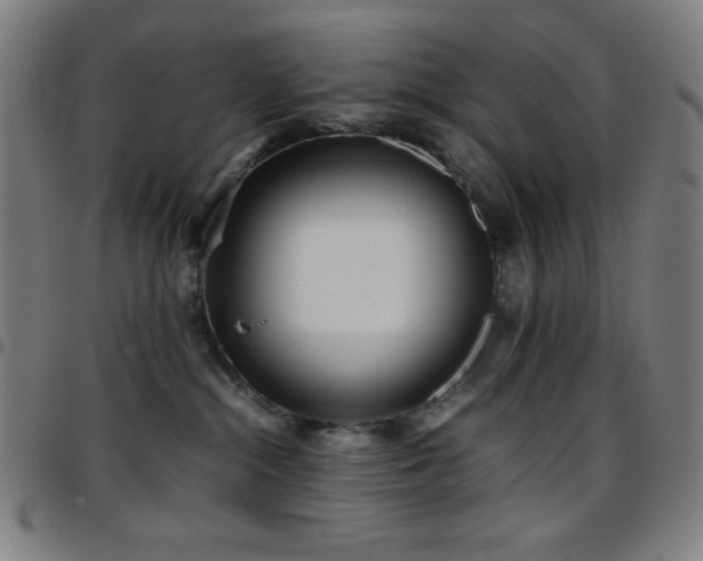 X0000097780284200803071356