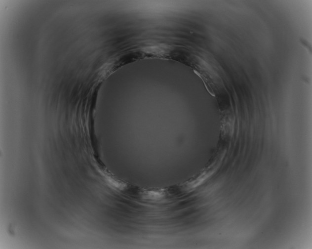 X0000097780285200803071356