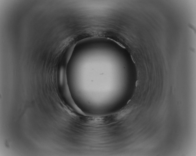 X0000097780288200803071356