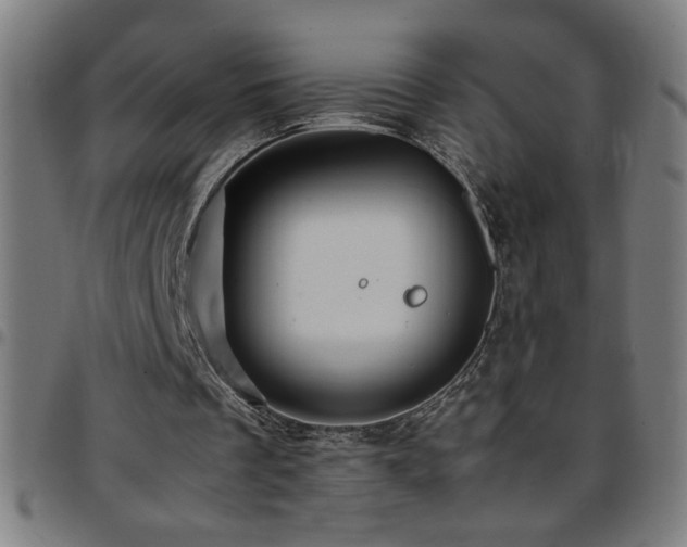 X0000097780289200803071356