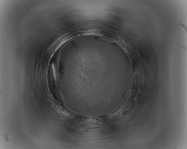 X0000097780290200803071356