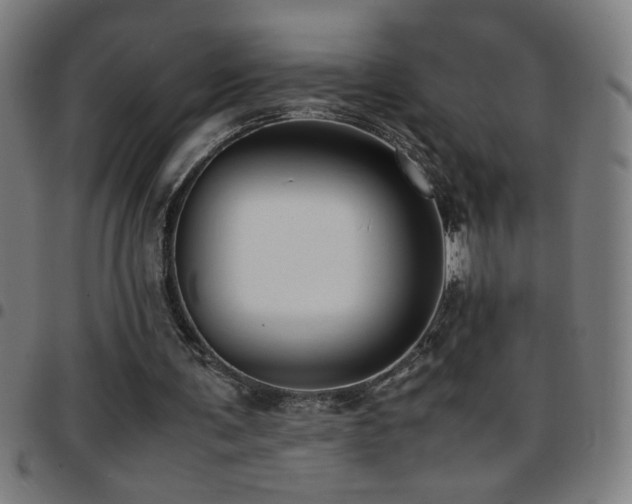 X0000097780291200803071356