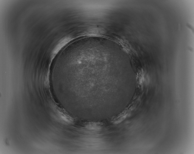 X0000097780292200803071356