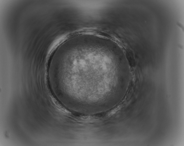X0000097780293200803071356