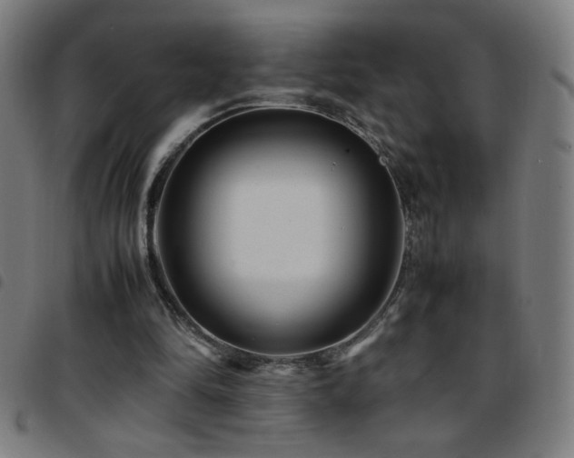 X0000097780294200803071356