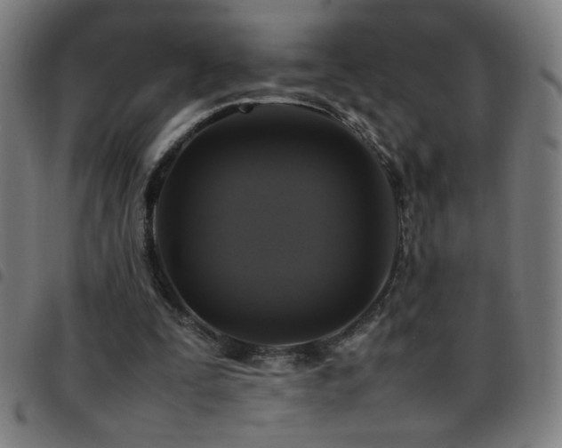 X0000097780295200803071356