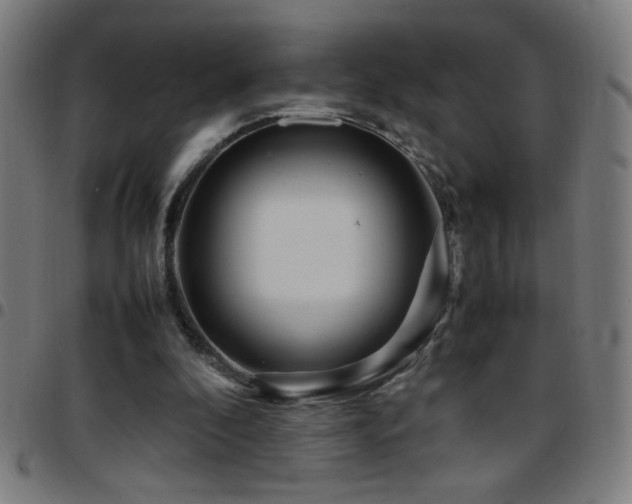 X0000097780296200803071356