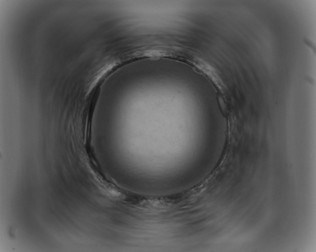 X0000097780297200803071356