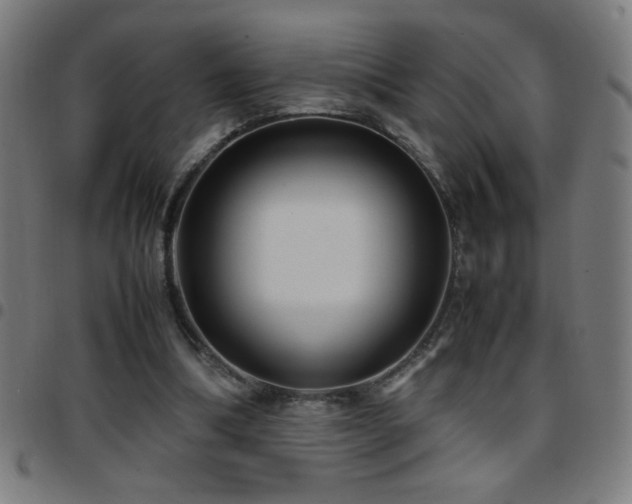 X0000097780298200803071356