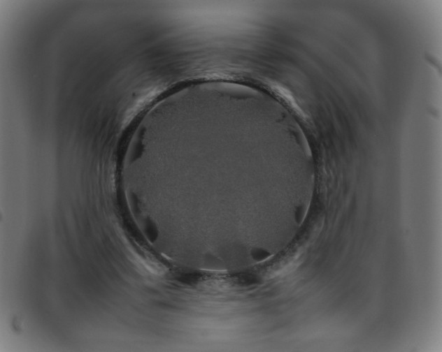 X0000097780299200803071356