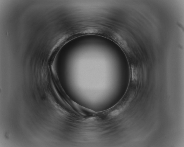 X0000097780300200803071356