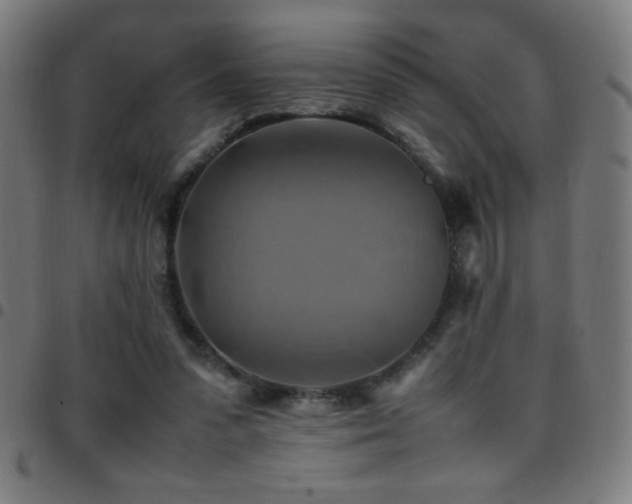 X0000097780303200803071356