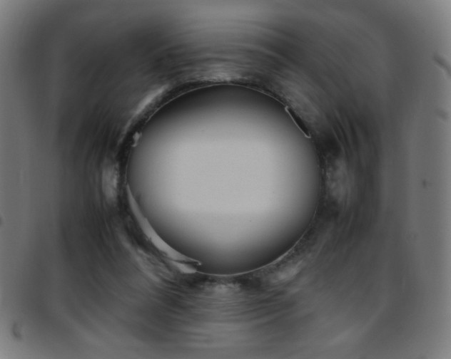 X0000097780304200803071356
