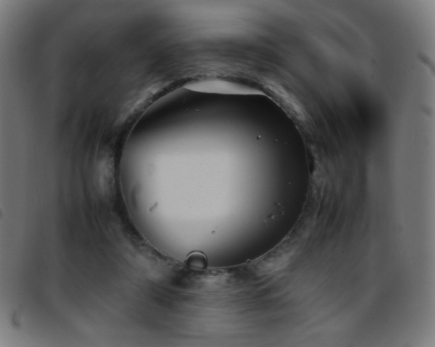 X0000097780306200803071355