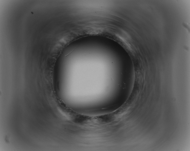 X0000097780307200803071355