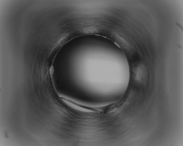 X0000097780308200803071355