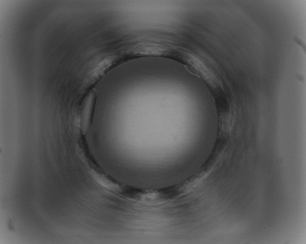 X0000097780309200803071355